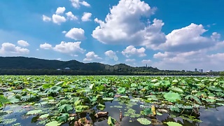 Beautiful HangZhou 杭州 and West Lake 西湖