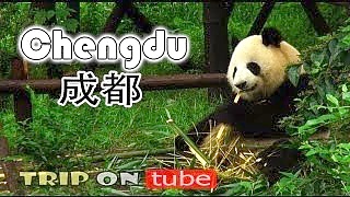 Video : China : ChengDu 成都 !