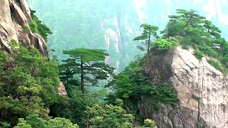A trip to the wonderful HuangShan 黄山 mountains