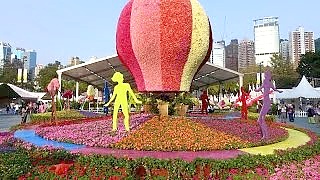 Video : China : The Hong Kong Flower Show 香港花卉展