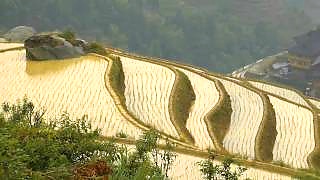 A vacation among the rice terraces of Ping'An 平安