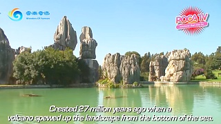 Video : China : Wonderful YunNan 云南