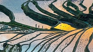 Video : China : The YuanYang rice terraces 哈尼奇迹 and DongChuan Grand Red Land 红土大观
