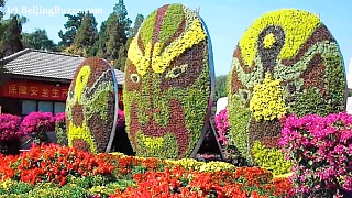Video : China : The BeiJing Botanical Gardens 北京植物园