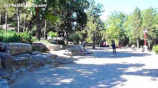 JingShan Park 景山公园, central BeiJing 北京