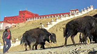Video : China : A trip to LiTang 礼堂 in SiChuan province - video