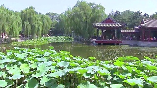 Memories of summer in BeiJing 北京. The blue sky city ...    Filmed by :  * Summer Palace - pavdb092  * Birds Nest National Stadium - Christopher Covington  * QianHai Lake - linditlife  * Temple of Heaven - Wen Gui Claassen  Remastered by : bjkina  Birds Nest music from the Beijing 2008 Paralympics Opening Ceremony - `Letter to the Future`.