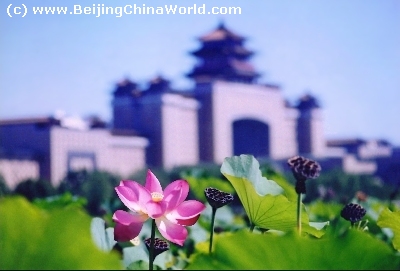 LianHuaChi Park, Beijing.