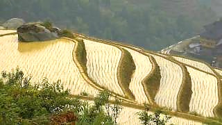A trip to GuangXi 广西 and SiChuan 四川 provinces. Two films by ryzdon - LongSheng (Dragon`s Backbone) Rice Terraces, GuangXi province, and LeShan Giant Buddha, Mount Emei Scenic Area, SiChuan province ...        
