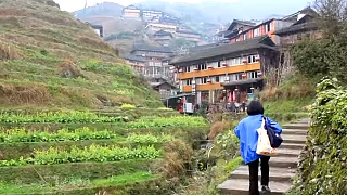 Video : China : Views of the LongSheng, LongJi Rice Terraces 龙胜梯田, GuangXi