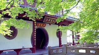 The beauty of HangZhou 杭州 …