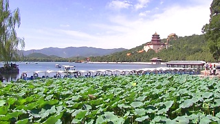 Scenes from the Summer Palace 頤和園 in Beijing