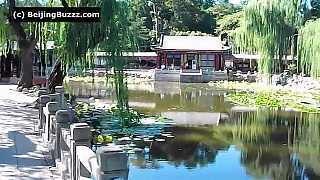 The Garden of Harmonious Interests, the Summer Palace 頤和園, BeiJing