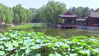 Video : China : Memories of summer in BeiJing 北京